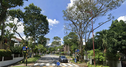 Grove Avenue (D10), Terrace #562404071